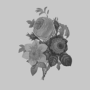 blankpagefullmind avatar