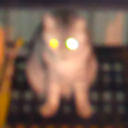 blathersthecat avatar