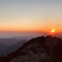 blaubeervodka avatar