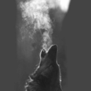 blazedwizard909-blog avatar