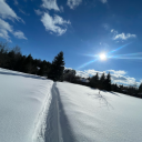 blazingfailure avatar