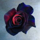 blazingthorns avatar