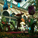 bleachcreep21 avatar