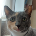 bleachedblacksocks avatar