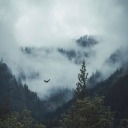 bleak-andblue avatar