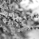 bleak-sad-blog avatar