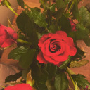 bleeding-for-acceptance avatar