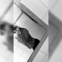 bleib-hier-bei-mir avatar