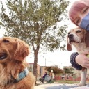 bless-reality avatar