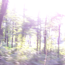 bless-the-arrows avatar