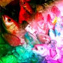 blessedheartwithwings avatar