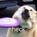 blessedmulligan-blog avatar