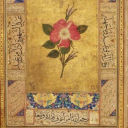 blessingsfromyou avatar