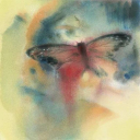 blesstouchiing avatar