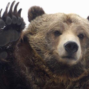 blessyoupikachoo avatar