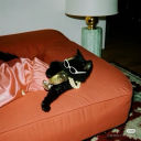 bleurghhhhhhh avatar