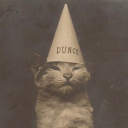 blimpawayaway avatar