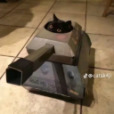 blind-in-august avatar