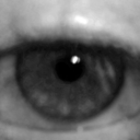 blindeyesinthenight avatar