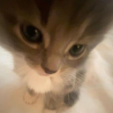 blingbling-gurl avatar