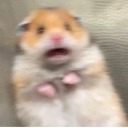 blingblingloki avatar