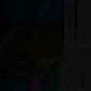 blinkdoges-old-den avatar