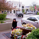 bliss-crossing avatar