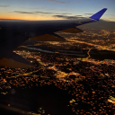 blissfullyforlorn avatar