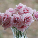 blissfulwords-blog avatar