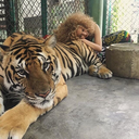 blisssful-thinkiing avatar