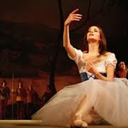 blisterkissed avatar