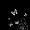 bllackbutterflly avatar