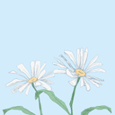 blng-blng-blng avatar