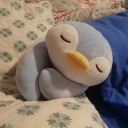 blob-creature avatar