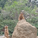 blob-of-jelly avatar