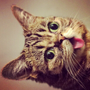 blockyblock-blog-blog avatar