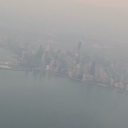 blockypumpkins avatar