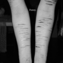 blog-is-my-dream avatar