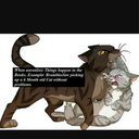 blog-of-complete-trash avatar