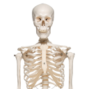 blog-of-interests avatar