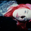 blog-sandra-09 avatar