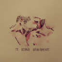 blog-sweetsorrow-love avatar