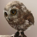 blog-the-lilly avatar