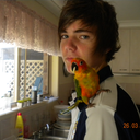 blog2express-not-impress-blog avatar