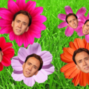 bloggin-and-reblogin avatar