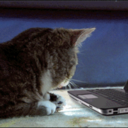 bloggin-out-the-haters avatar