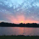 blogging-on-impulse avatar