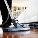 bloggingwhale avatar