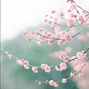 blogjustanotherfan avatar