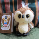 bloglittlevisitor avatar